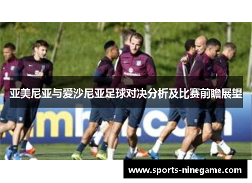 亚美尼亚与爱沙尼亚足球对决分析及比赛前瞻展望